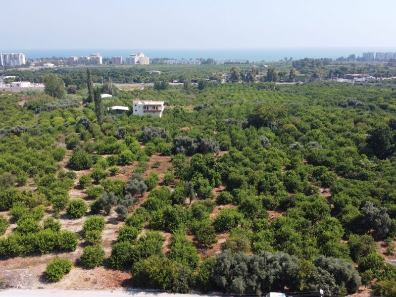 MERSİN ERDEMLİ KARGIPINARI İMARA AÇIK SATILIK TARLA