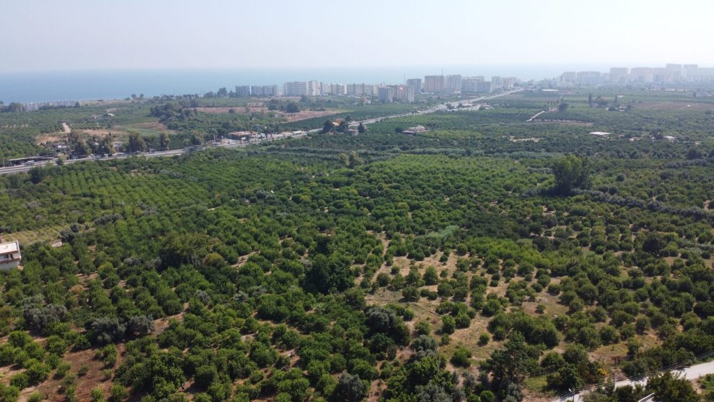 MERSİN ERDEMLİ KARGIPINARI İMARA AÇIK SATILIK TARLA