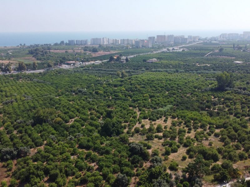 MERSİN ERDEMLİ KARGIPINARI İMARA AÇIK SATILIK TARLA