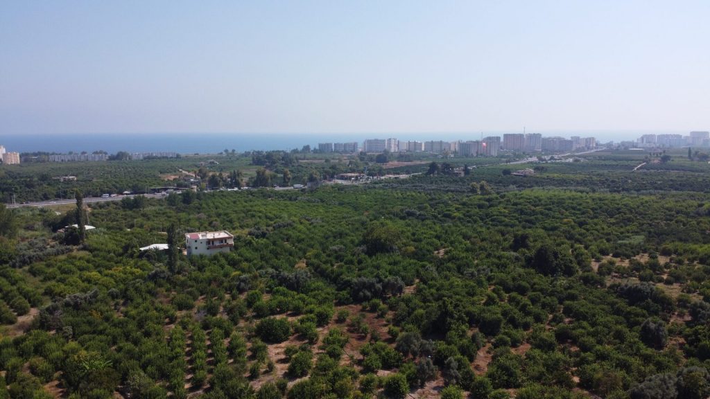 MERSİN ERDEMLİ KARGIPINARI İMARA AÇIK SATILIK TARLA
