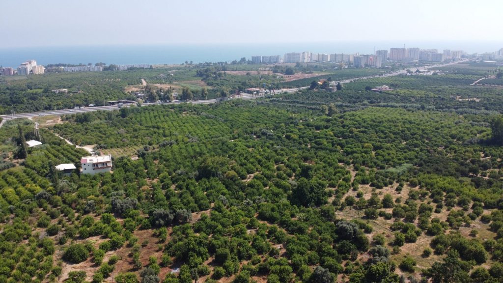 MERSİN ERDEMLİ KARGIPINARI İMARA AÇIK SATILIK TARLA