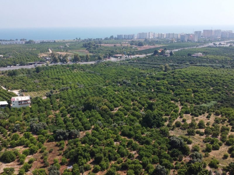 MERSİN ERDEMLİ KARGIPINARI İMARA AÇIK SATILIK TARLA