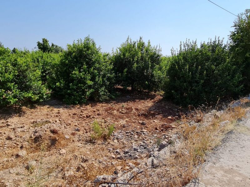 MERSİN ERDEMLİ KARGIPINARI İMARA AÇIK SATILIK TARLA