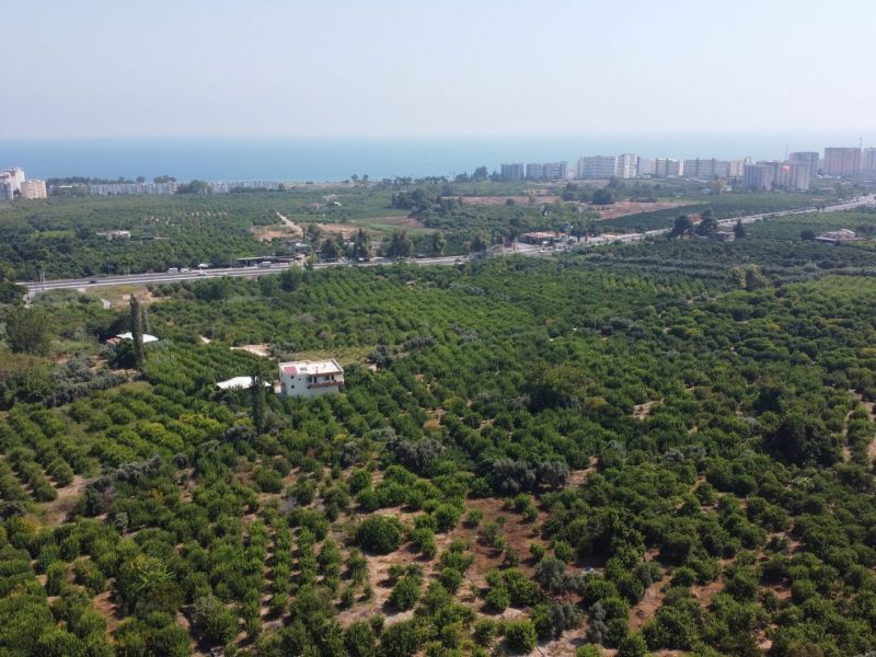 MERSİN ERDEMLİ KARGIPINARI İMARA AÇIK SATILIK TARLA