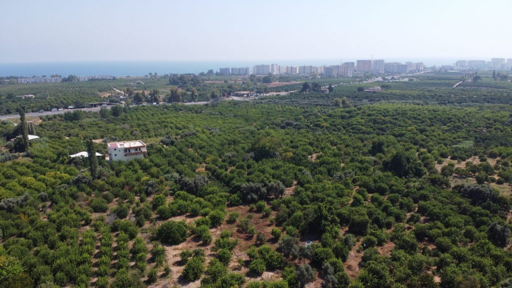 MERSİN ERDEMLİ KARGIPINARI İMARA AÇIK SATILIK TARLA