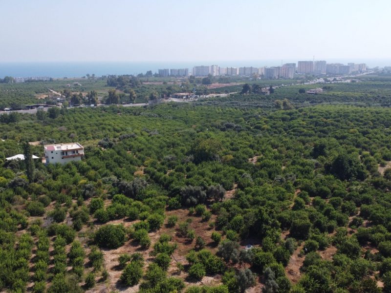 MERSİN ERDEMLİ KARGIPINARI İMARA AÇIK SATILIK TARLA