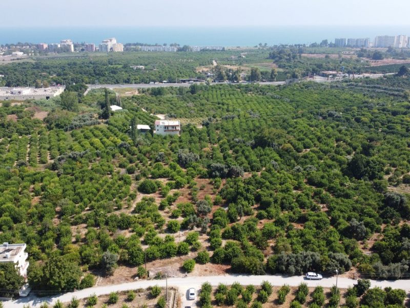 MERSİN ERDEMLİ KARGIPINARI İMARA AÇIK SATILIK TARLA