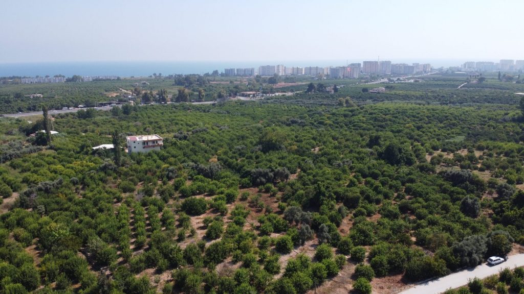 MERSİN ERDEMLİ KARGIPINARI İMARA AÇIK SATILIK TARLA