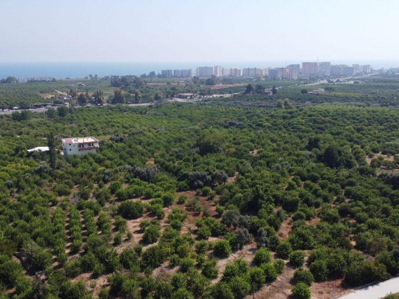 MERSİN ERDEMLİ KARGIPINARI İMARA AÇIK SATILIK TARLA