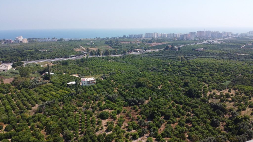 MERSİN ERDEMLİ KARGIPINARI İMARA AÇIK SATILIK TARLA