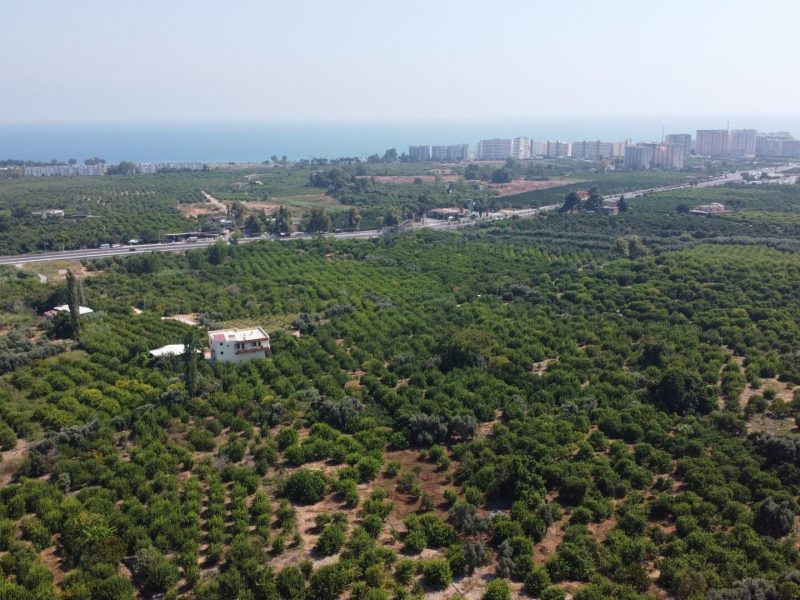 MERSİN ERDEMLİ KARGIPINARI İMARA AÇIK SATILIK TARLA