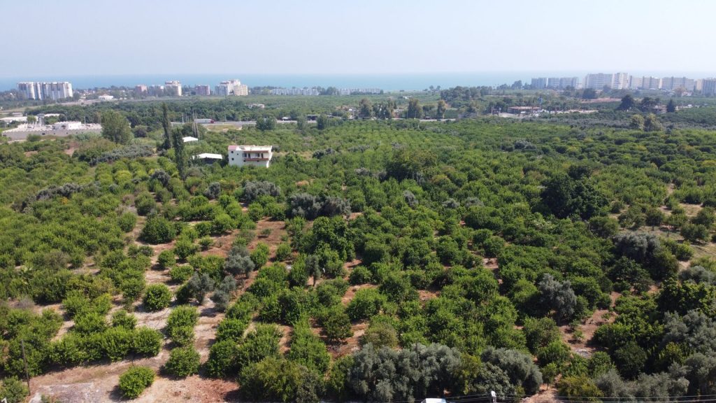 MERSİN ERDEMLİ KARGIPINARI İMARA AÇIK SATILIK TARLA