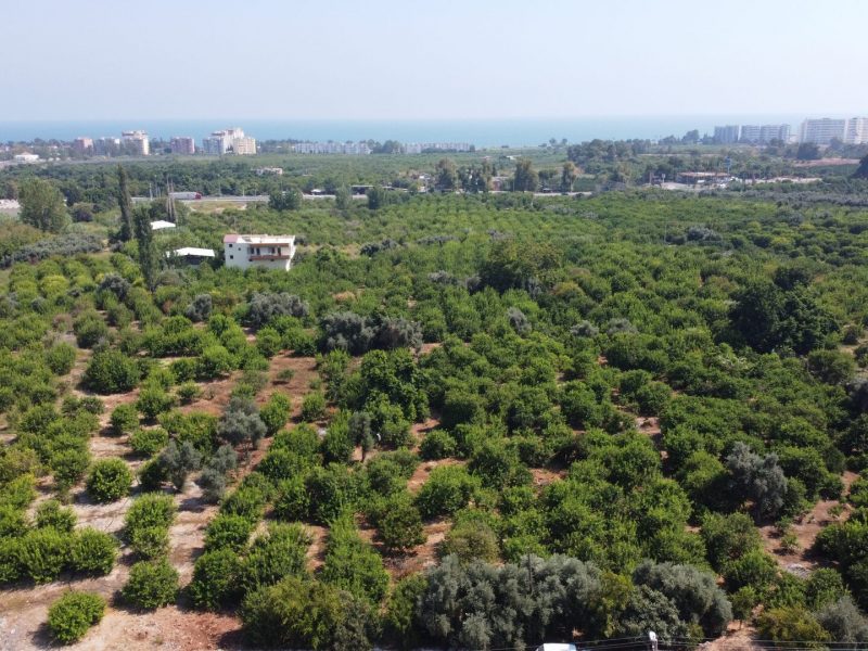 MERSİN ERDEMLİ KARGIPINARI İMARA AÇIK SATILIK TARLA