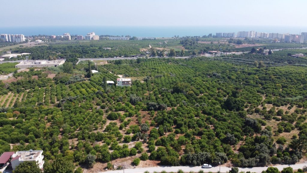 MERSİN ERDEMLİ KARGIPINARI İMARA AÇIK SATILIK TARLA