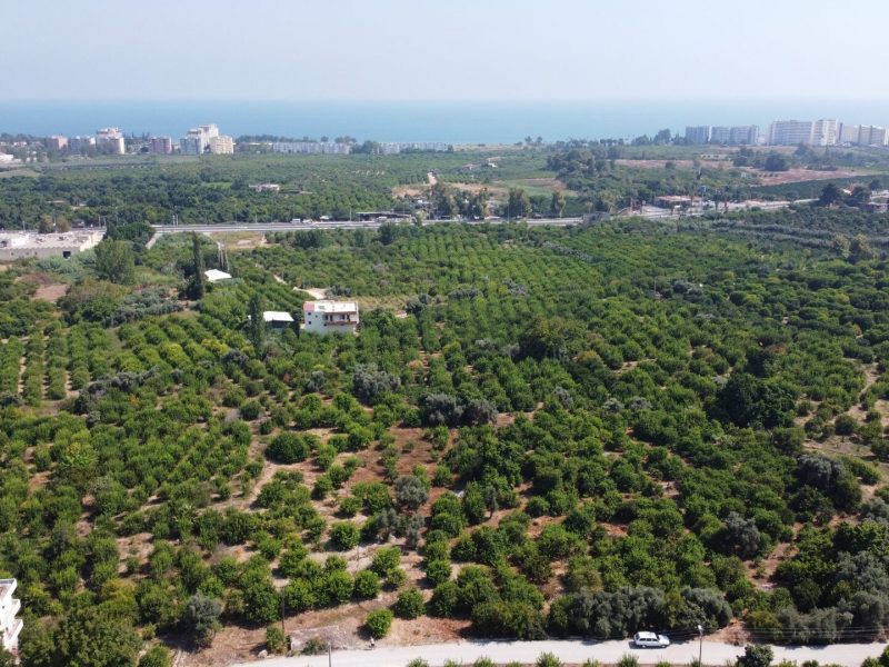 MERSİN ERDEMLİ KARGIPINARI İMARA AÇIK SATILIK TARLA