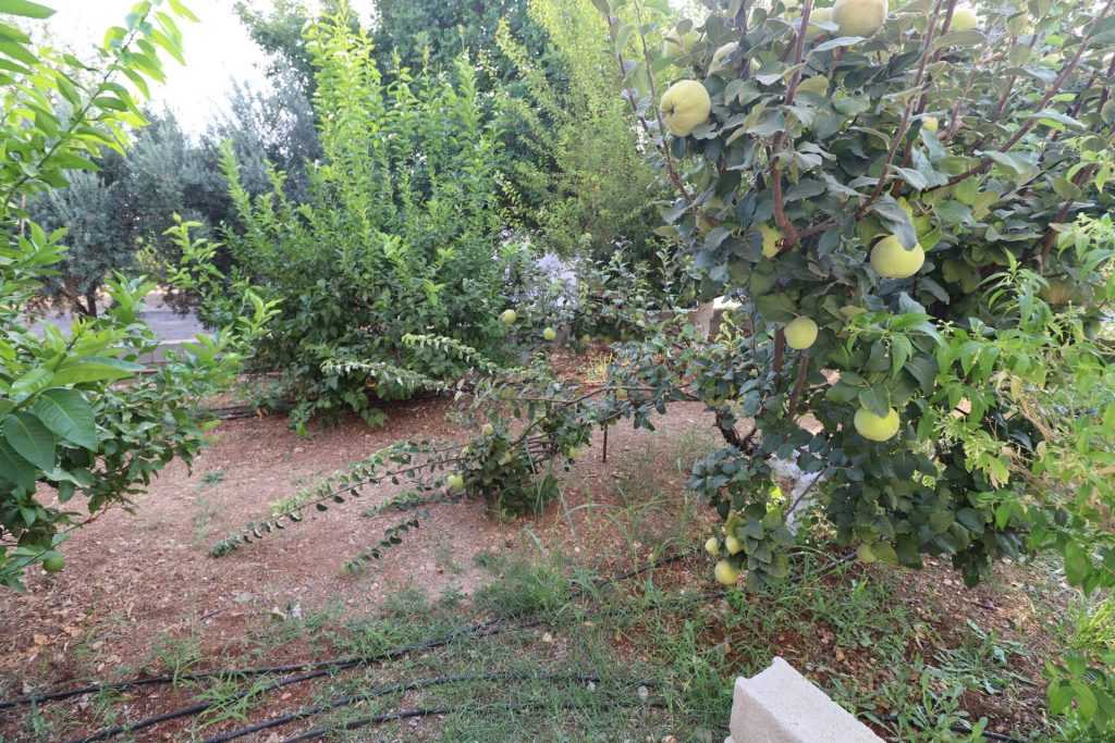 Mersin Erdemli Fatih Mahallesi Müstakil Arsa İçinde 5+1 Satılık Daire