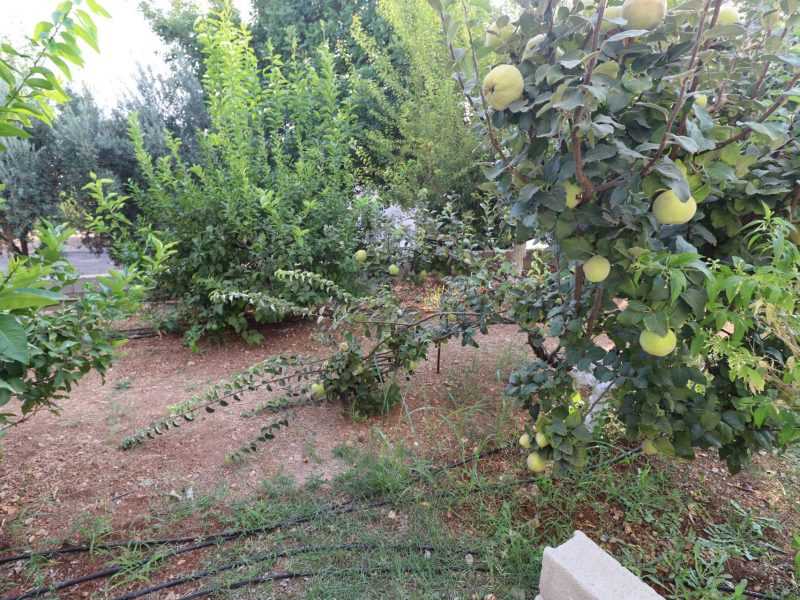 Mersin Erdemli Fatih Mahallesi Müstakil Arsa İçinde 5+1 Satılık Daire
