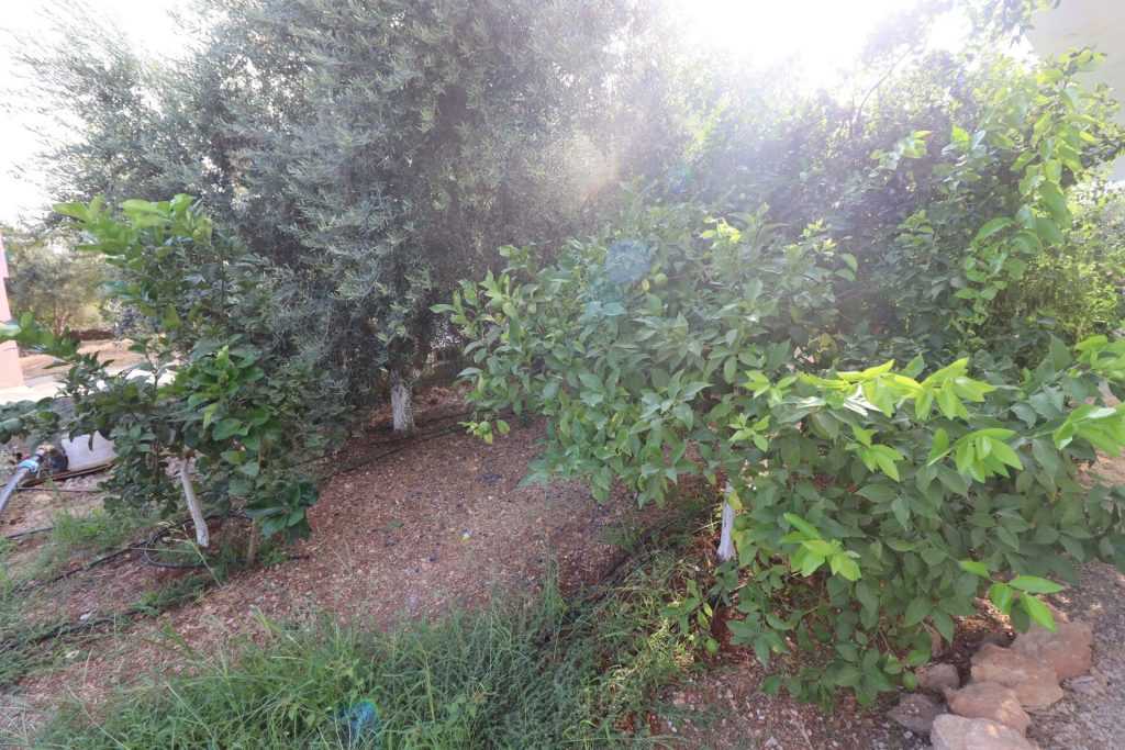 Mersin Erdemli Fatih Mahallesi Müstakil Arsa İçinde 5+1 Satılık Daire