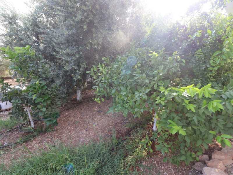 Mersin Erdemli Fatih Mahallesi Müstakil Arsa İçinde 5+1 Satılık Daire
