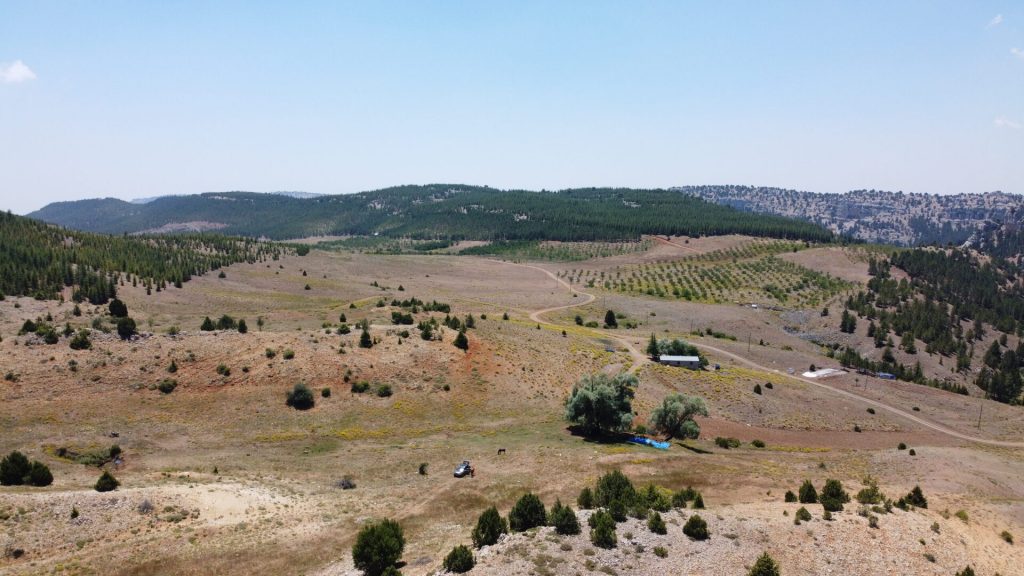 Mersin Erdemli Hacıalanı Satılık Tarla