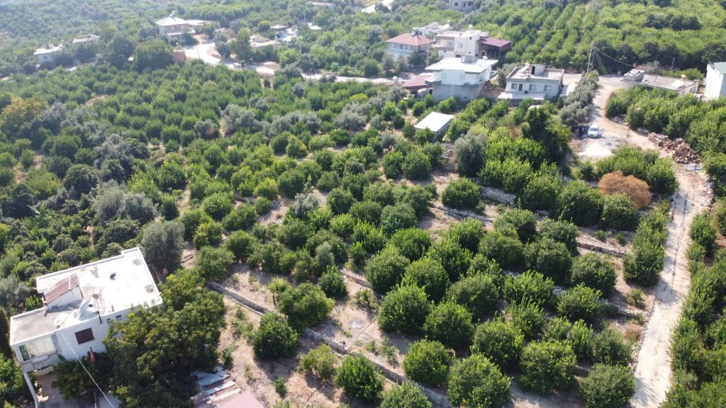 Mersin Erdemli Satılık Limon Bahçesi