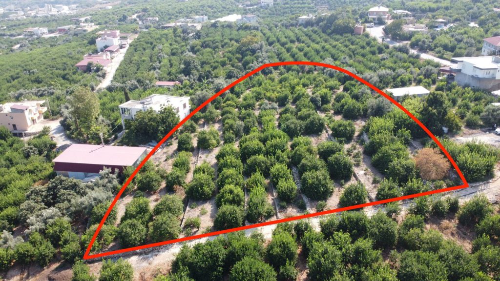 Mersin Erdemli Satılık Limon Bahçesi