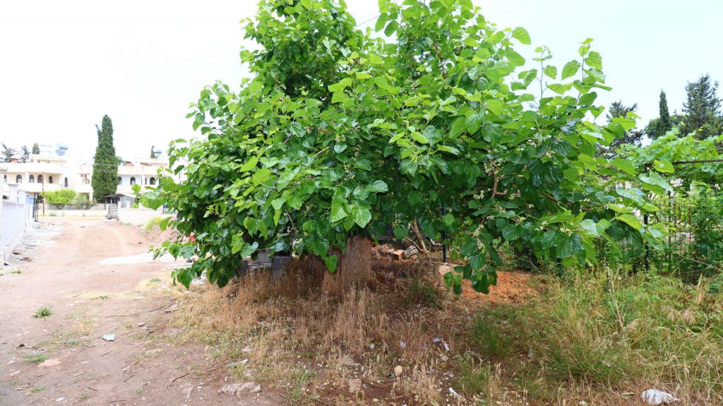 Mersin Erdemli Kargıpınarı  Satılık 5+1 Triplex Villa