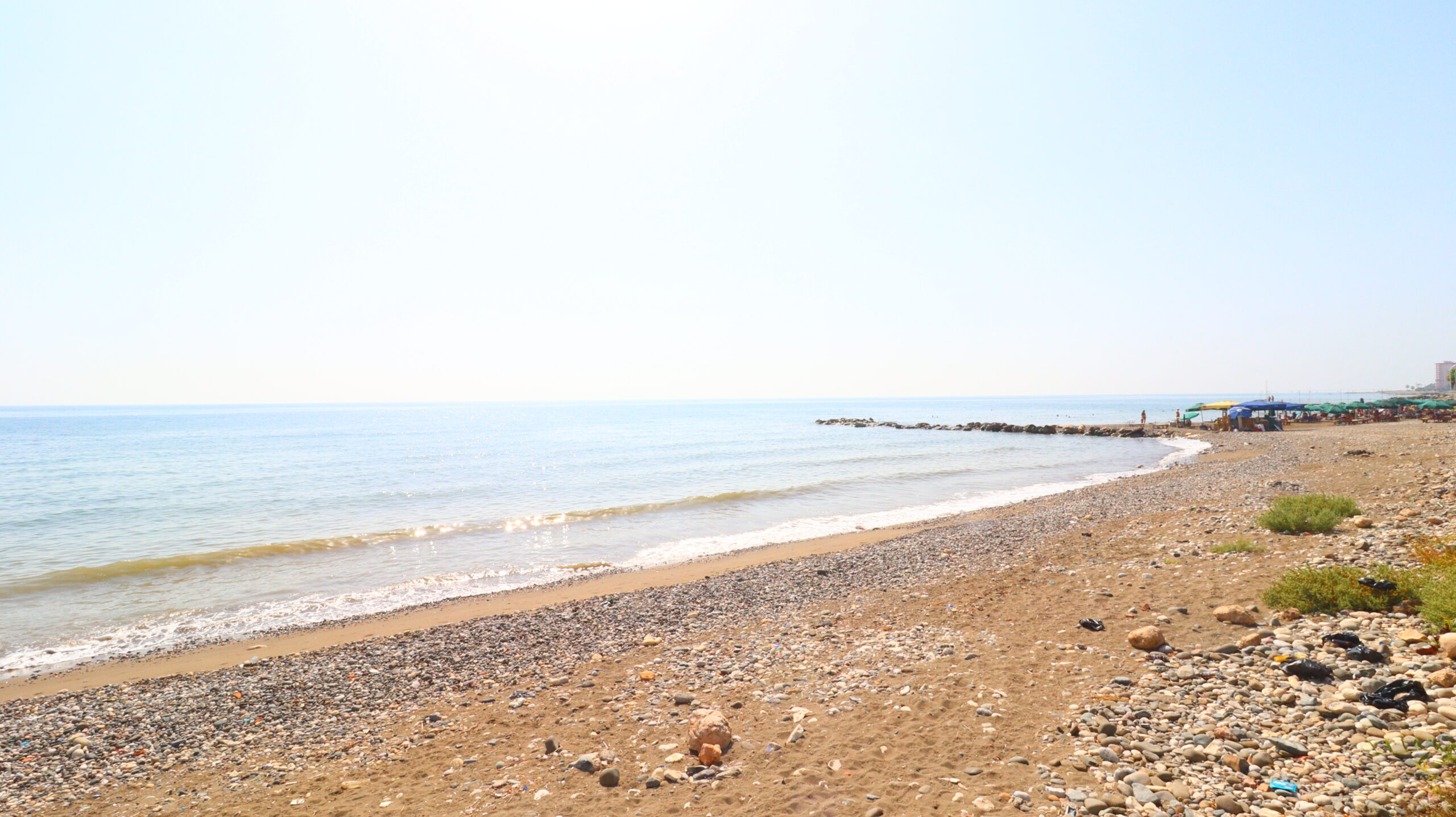 Mersin Erdemli Cesmeli Zonnebloemen 1 Site