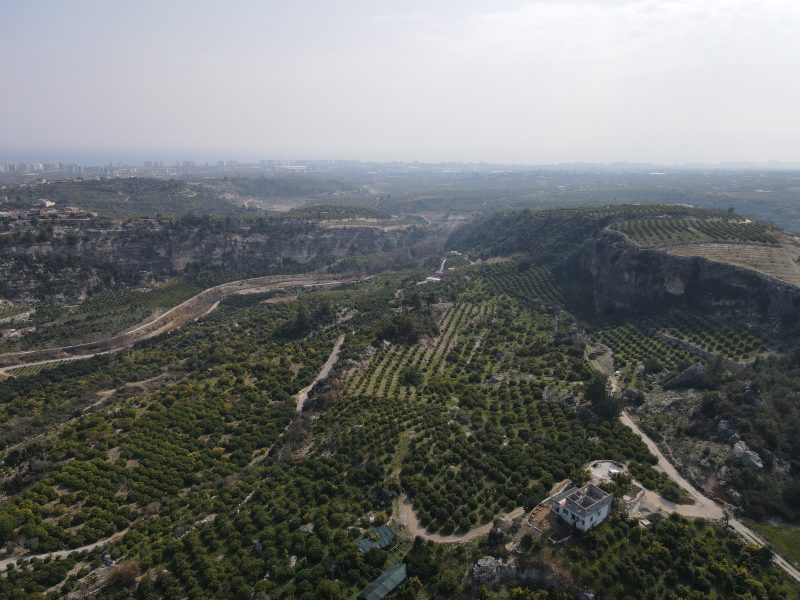 Mersin Erdemli Sarıyer Satılık Limon Bahçesi