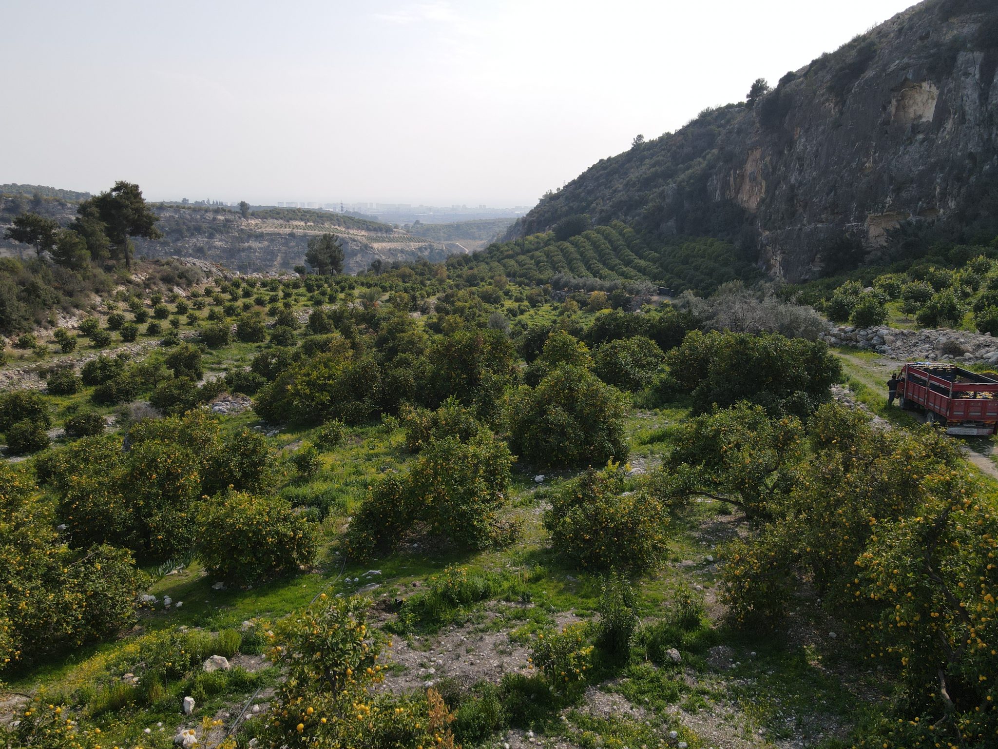 MERSIN ERDEMLI Sariyer Garten zu verkaufen