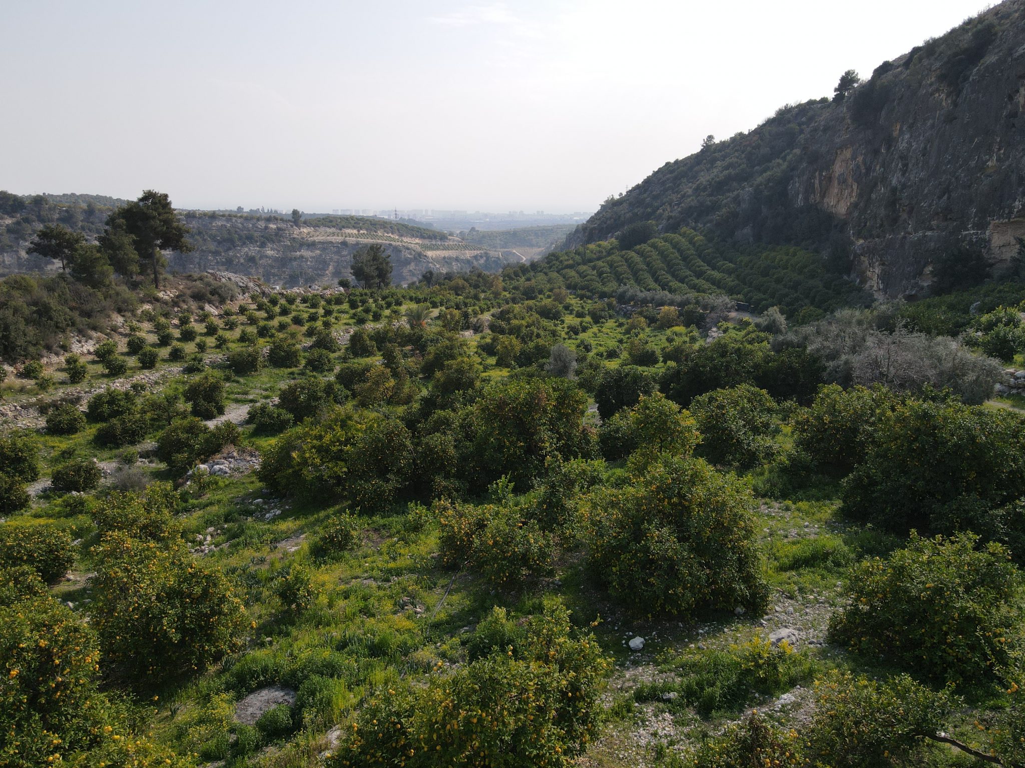 MERSIN ERDEMLI Sariyer Garten zu verkaufen