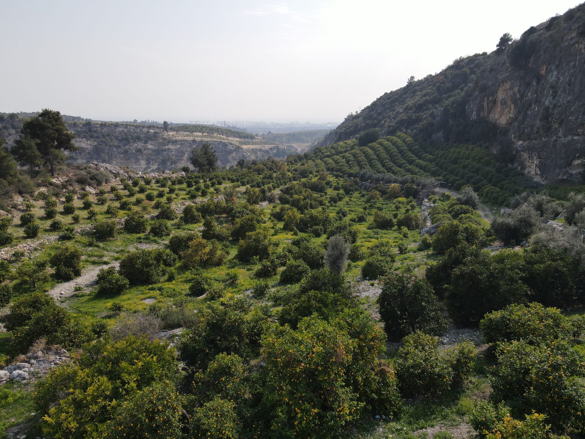 MERSIN ERDEMLI Sariyer Garten zu verkaufen