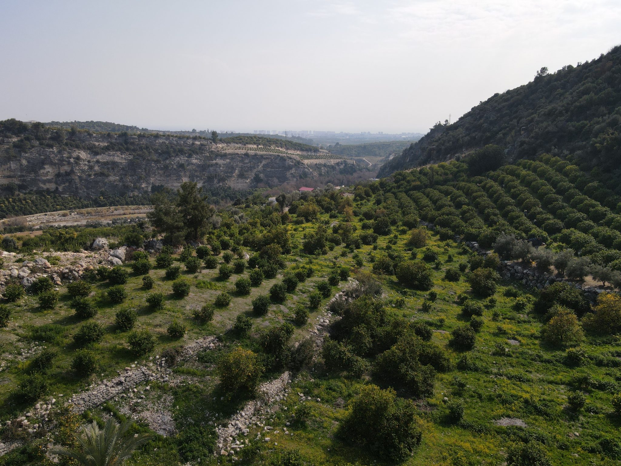 MERSIN ERDEMLI Sariyer Garten zu verkaufen
