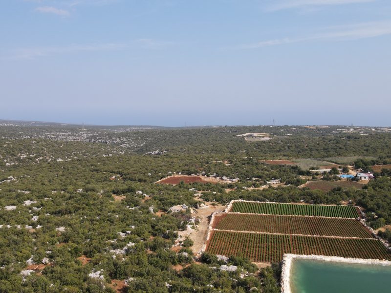 Mersin Silifke Hüseyinlerde 30 Dönüm Satılık Tarla
