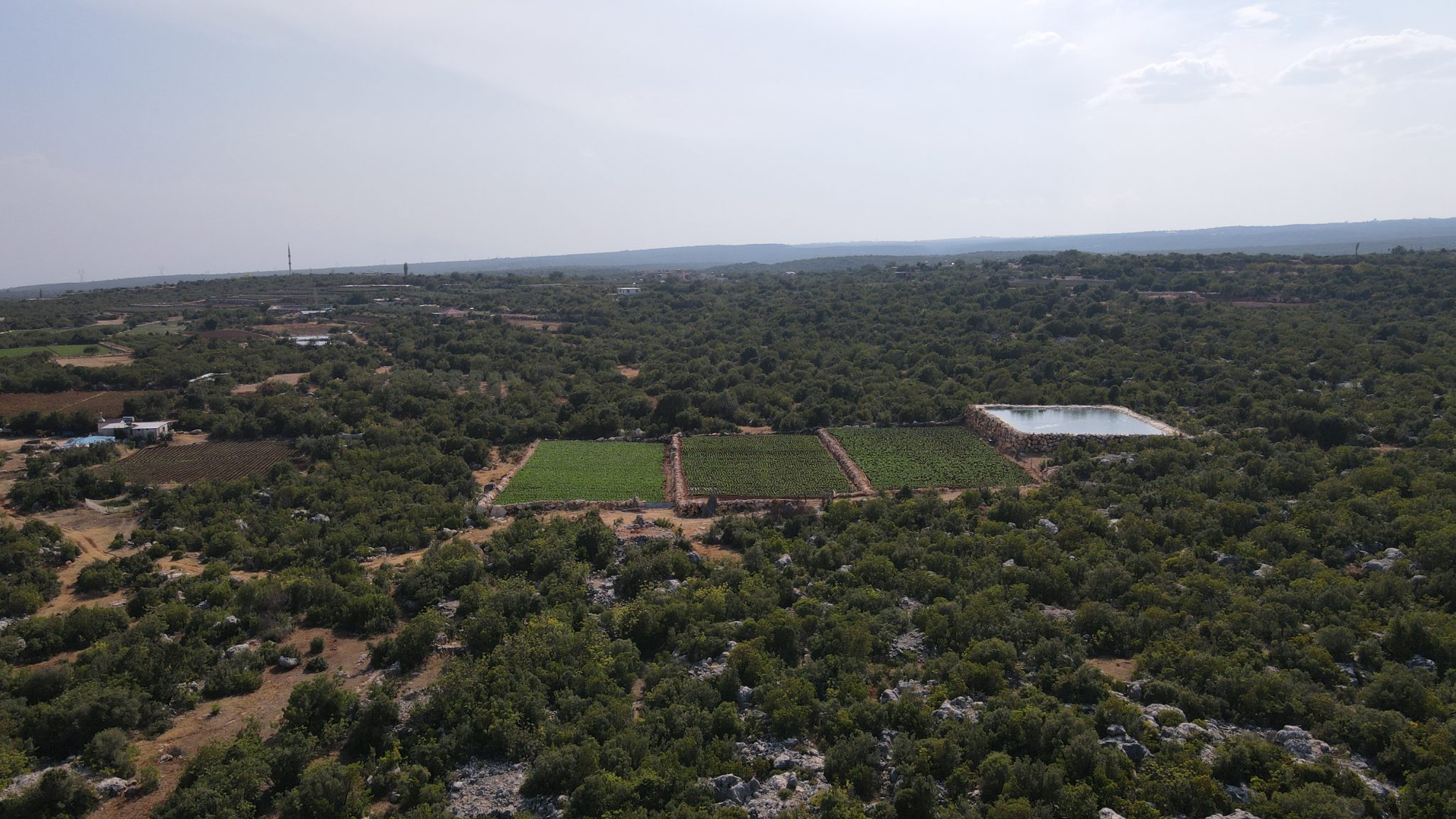 Mersin Silifke Hüseyinler 30 Morgen Feld zu verkaufen
