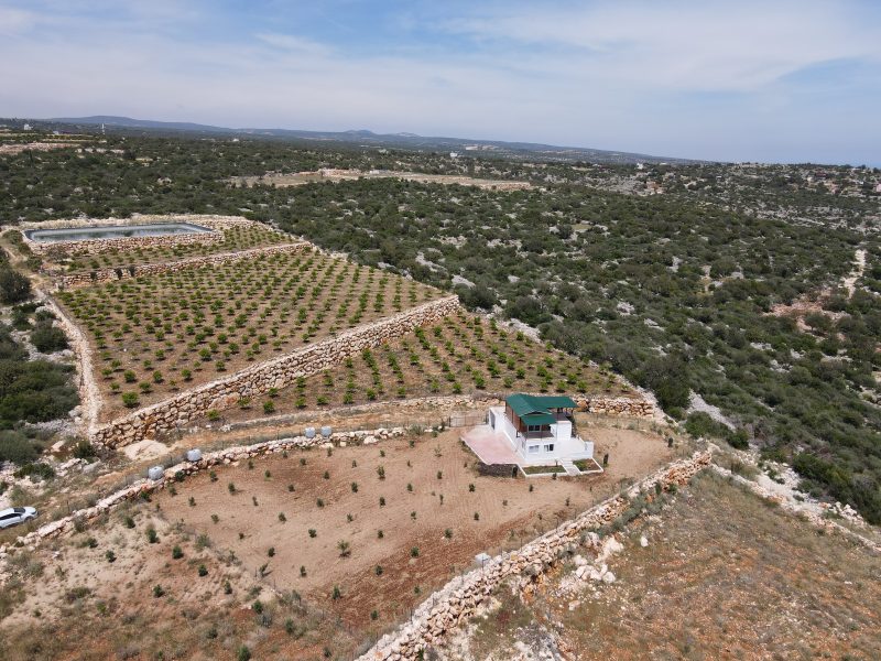 Mersin Silifke Narlıkuyu Deniz Manzaralı Tarla İçinde Satılık Ev