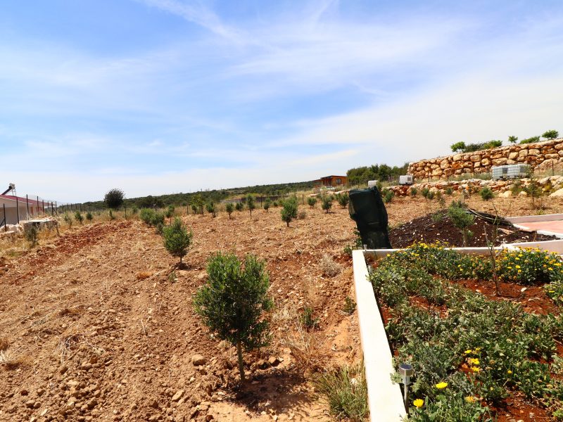 Mersin Silifke Narlıkuyu Deniz Manzaralı Tarla İçinde Satılık Ev