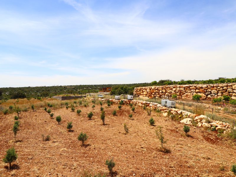 Mersin Silifke Narlıkuyu Deniz Manzaralı Tarla İçinde Satılık Ev