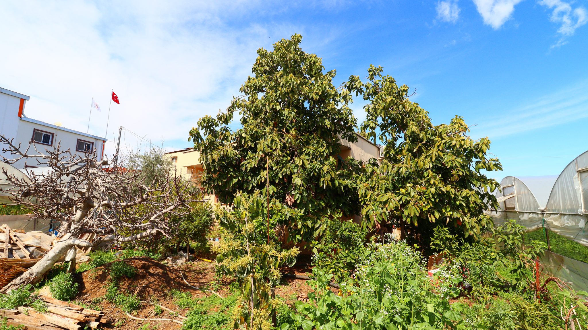 500 m2 House For Sale In Mersin Erdemli Karyagdi Area