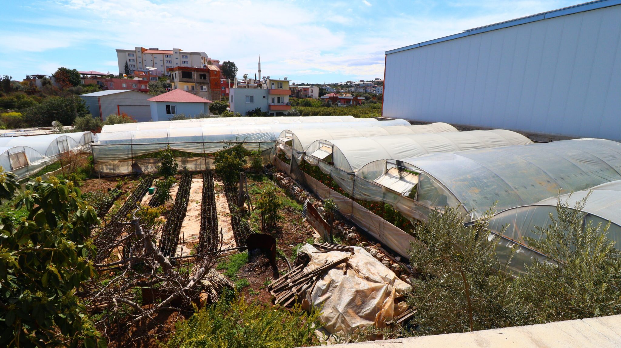 Mersin Erdemli Karyağdı Mevkii 500 m2 Tarla İçinde Satılık Ev