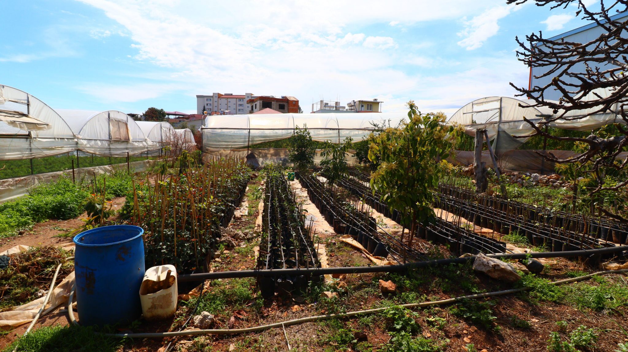 Mersin Erdemli Karyağdı Mevkii 500 m2 Tarla İçinde Satılık Ev
