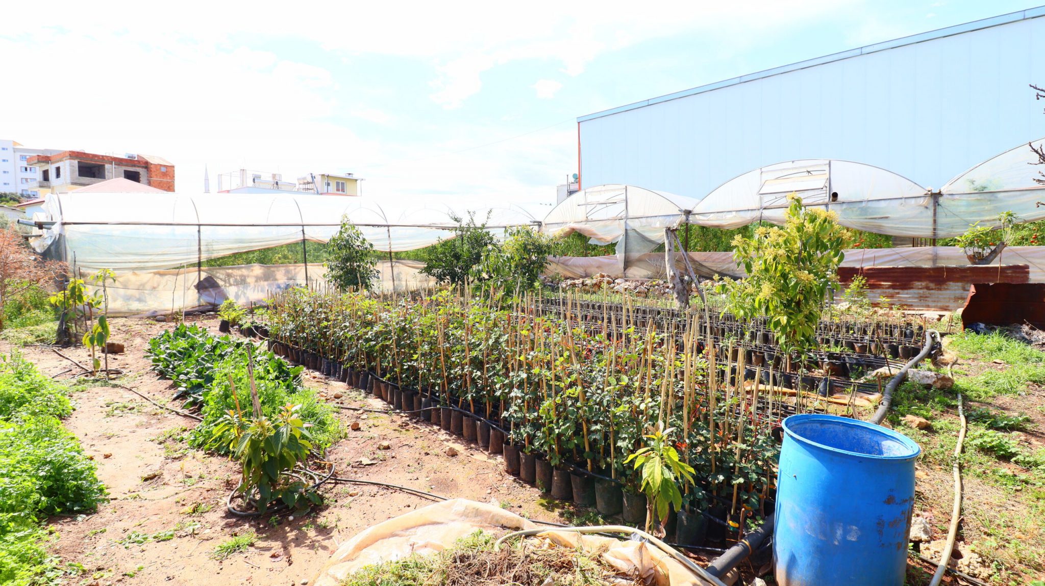 Mersin Erdemli Karyağdı Mevkii 500 m2 Tarla İçinde Satılık Ev