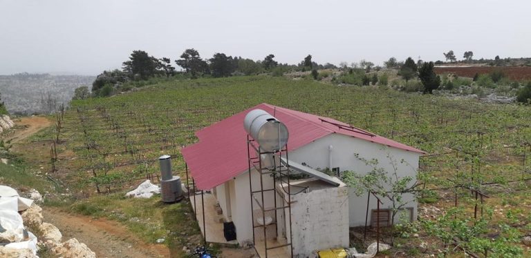 Kiwi-Obstgarten zum Verkauf in Mersin Erdemli Siraç