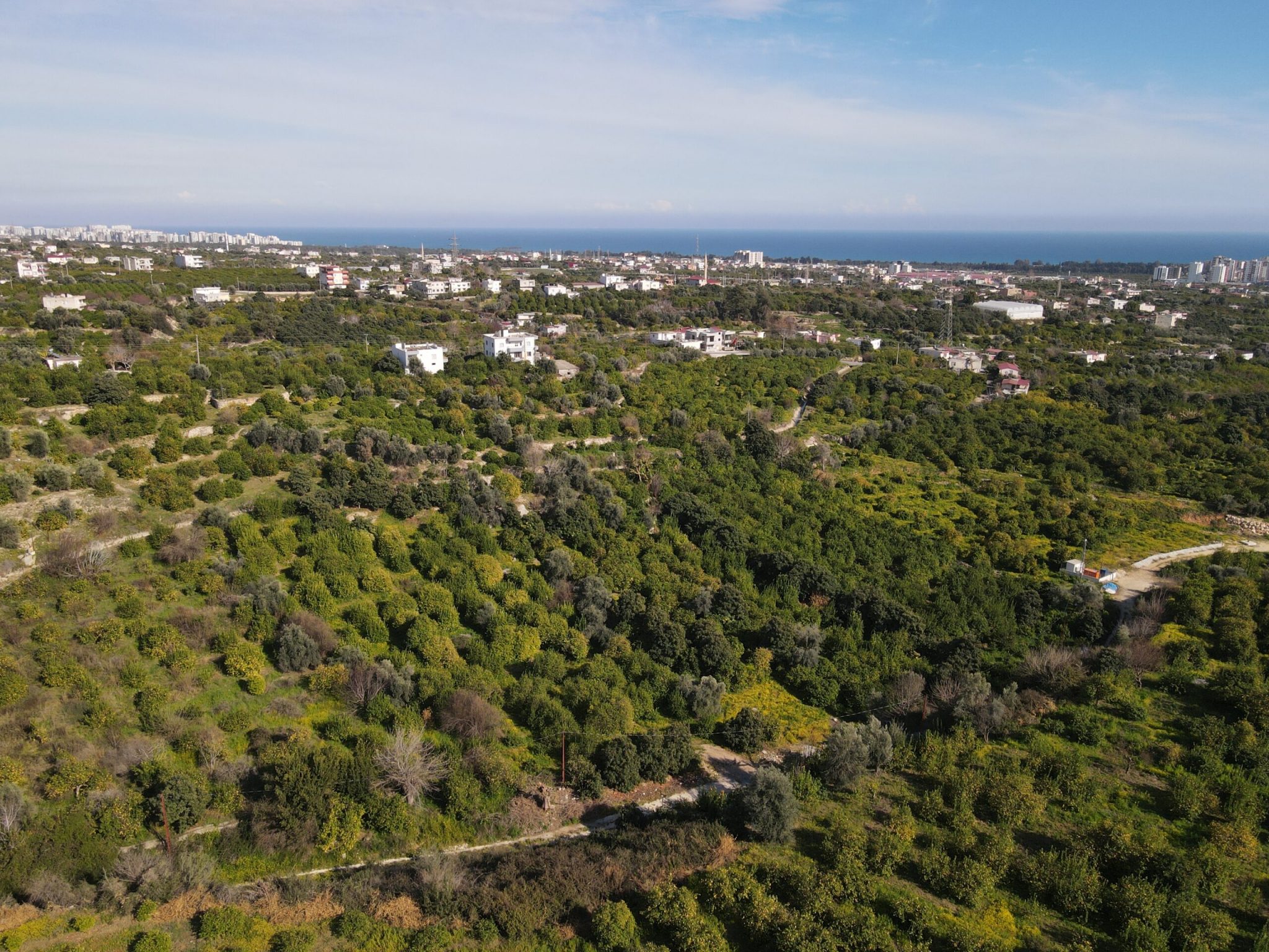 Mersin Erdemli Tabiye Mahallesi Satılık Limon Bahçesi