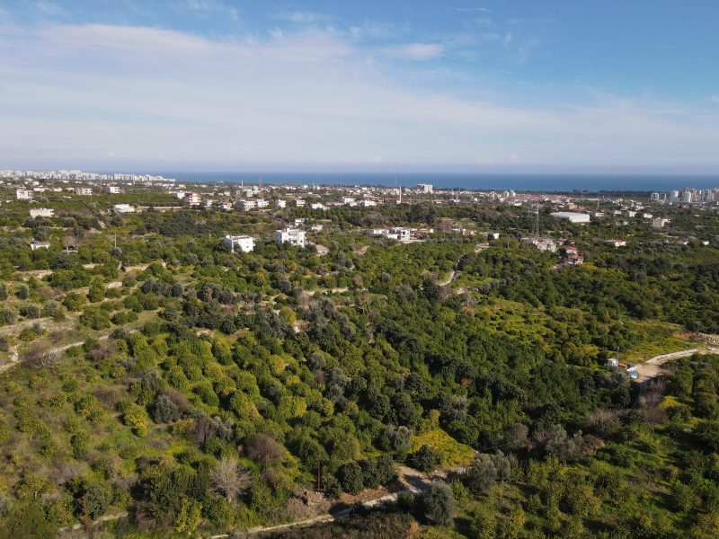 Mersin Erdemli Tabiye Mahallesi Satılık Limon Bahçesi
