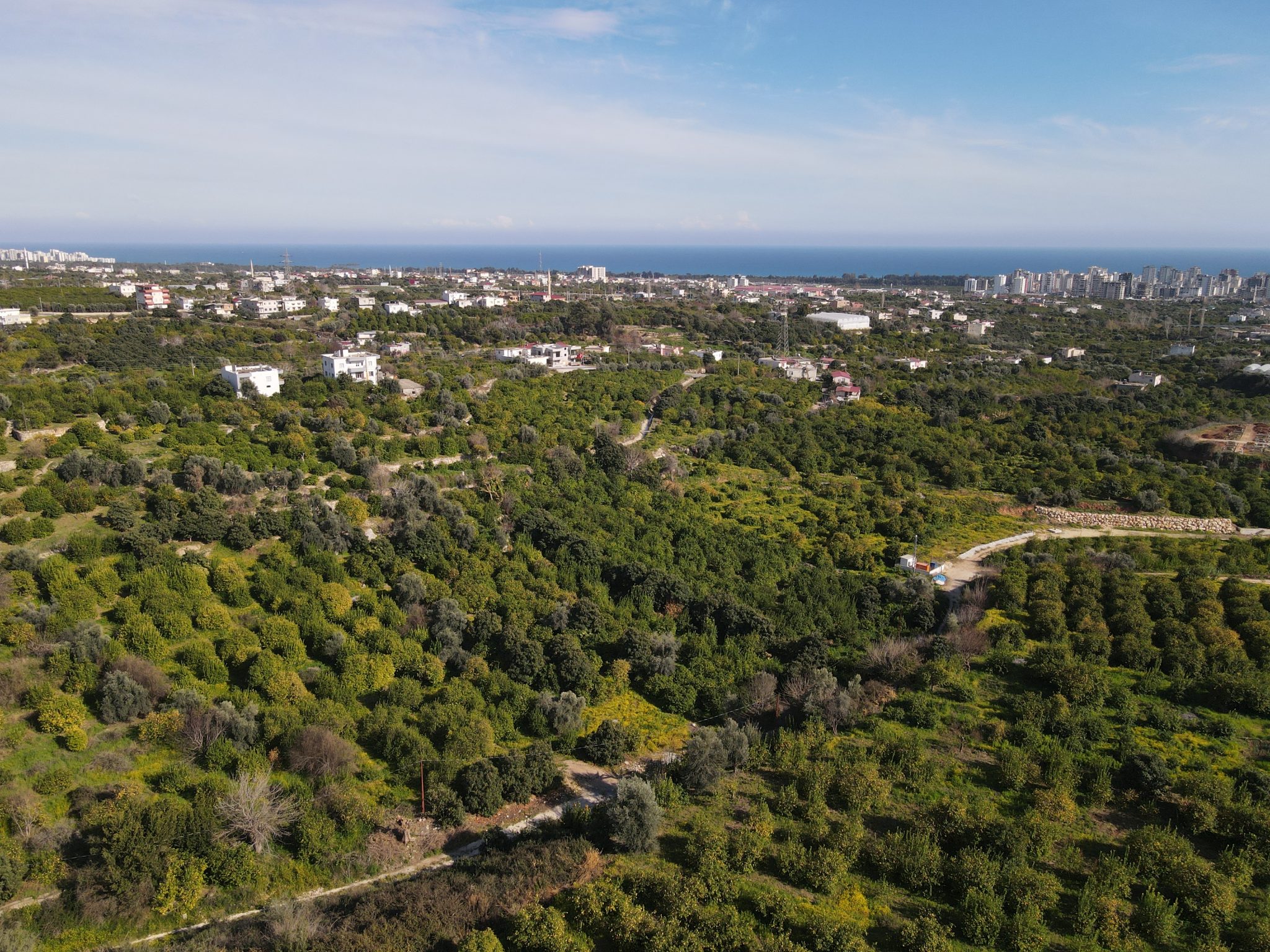 Zitronengarten in der Nachbarschaft von Mersin Erdemli Tabiye zu verkaufen