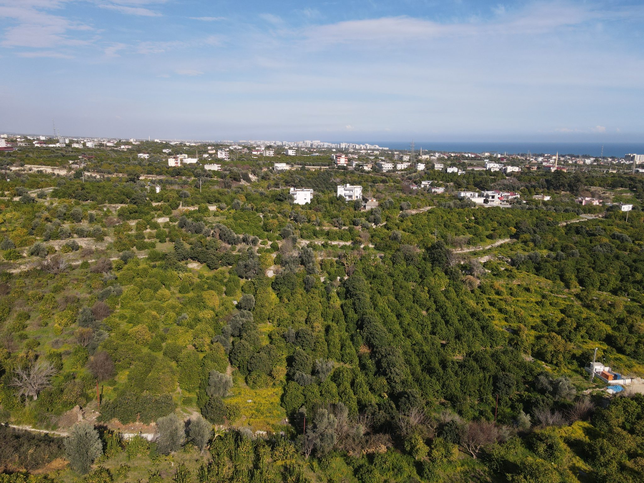 Zitronengarten in der Nachbarschaft von Mersin Erdemli Tabiye zu verkaufen