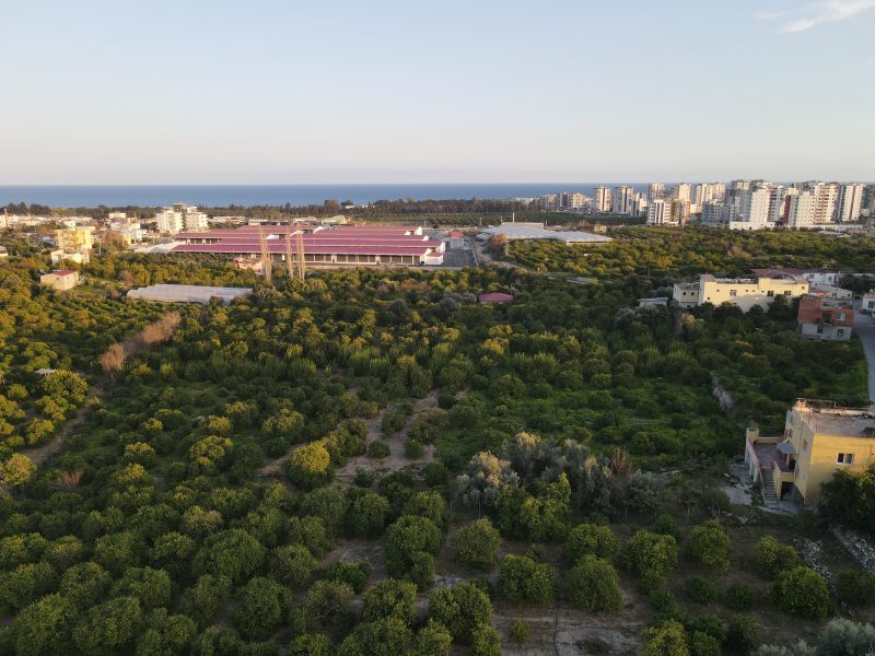 Mersin Erdemli Muayene İstasyonu Civarı Satılık Limon Bahçesi