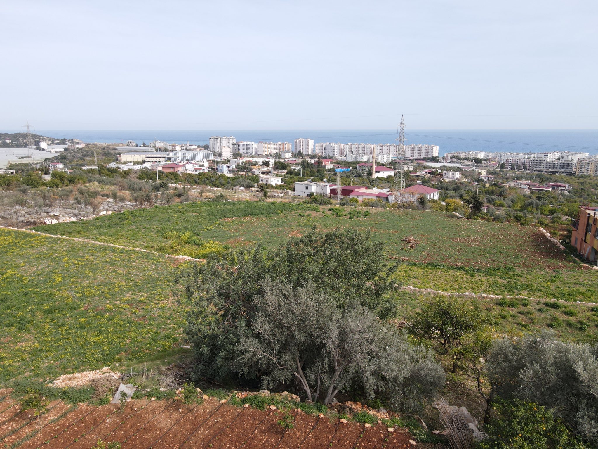 Mersin Erdemli Kumkuyu Tartar Lemon Garden mit Meerblick zu verkaufen