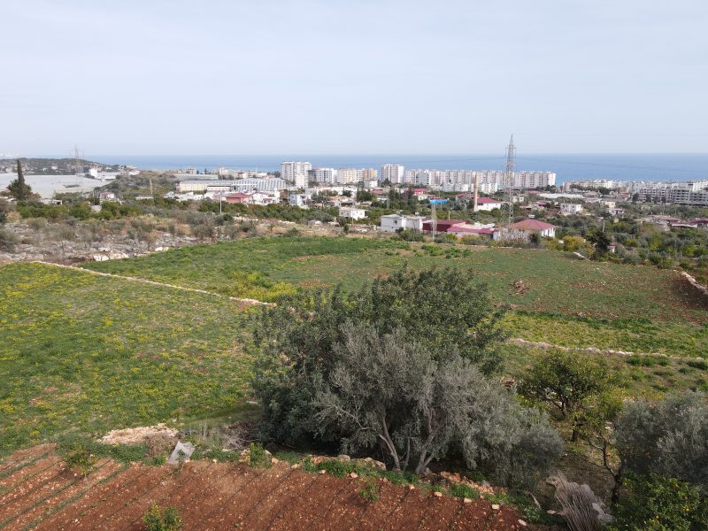 Mersin Erdemli Kumkuyu Tırtar Satılık Deniz Manzaralı Limon Bahçesi